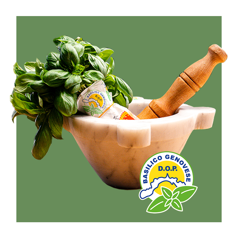 basilico